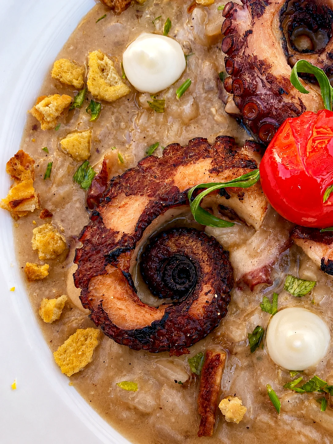Risoto de polvo